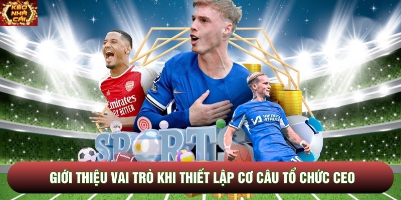 Giới thiệu vai trò khi thiết lập cơ câu tổ chức CEO Giới thiệu vai trò khi thiết lập cơ câu tổ chức CEO
