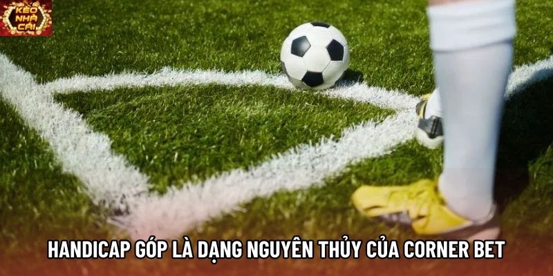 Handicap góp là dạng nguyên thủy của corner bet Handicap góp là dạng nguyên thủy của corner bet