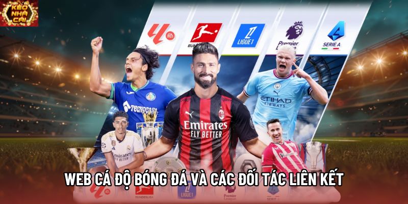Web cá độ bóng đá và các đối tác liên kết