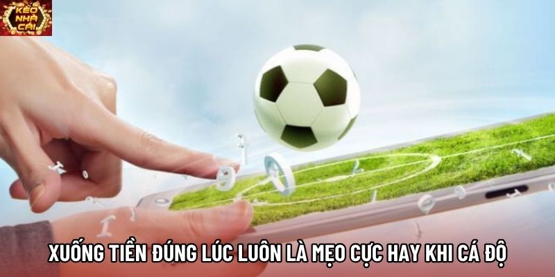 Xuống tiền đúng lúc luôn là mẹo cực hay khi cá độ Xuống tiền đúng lúc luôn là mẹo cực hay khi cá độ